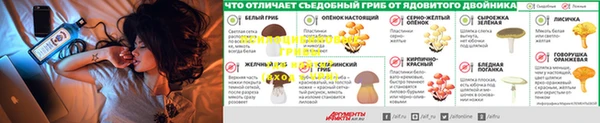 2c-b Арсеньев