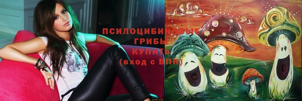 2c-b Арсеньев
